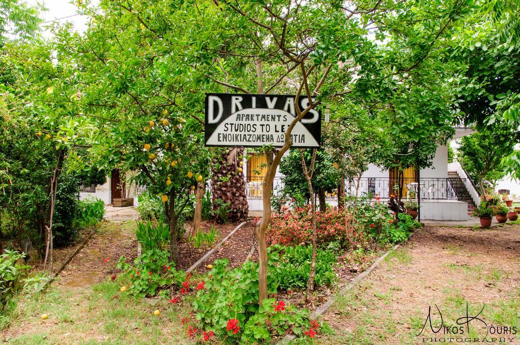 Drivas Apartments Platanias  Eksteriør bilde