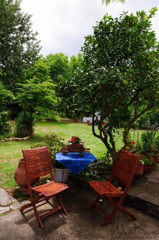 Drivas Apartments Platanias  Eksteriør bilde